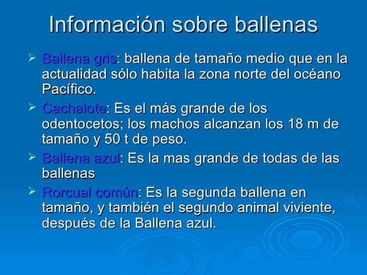 Informacion Sobre La Asignacion | image gallery informacion de ballenas Informacion Sobre La Asignacion | image gallery informacion de ballenas